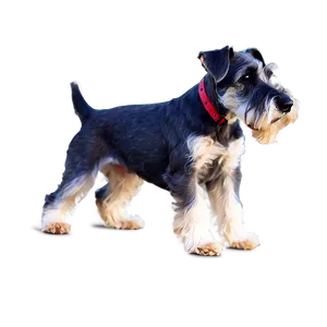 Schnauzer With Puppies Png Xjd PNG Image