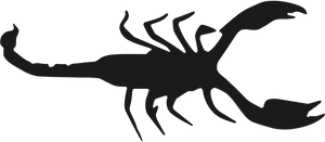 Scorpio Silhouette Graphic PNG Image