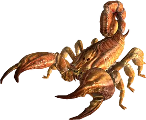 Scorpion_ Pose_3 D_ Render PNG Image