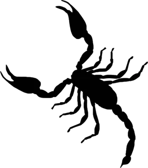 Scorpion Silhouette Graphic PNG Image