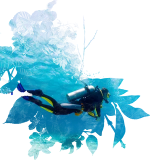 Scuba Diver Underwater Exploration PNG