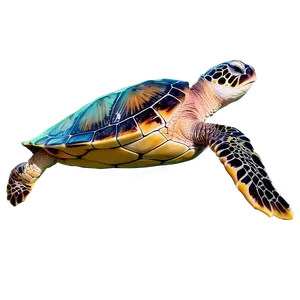 Sea Turtle With Coral Reef Png 85 PNG Image