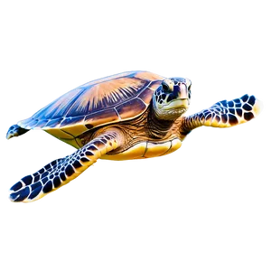 Sea Turtles Swimming Png Nxa9 PNG Image