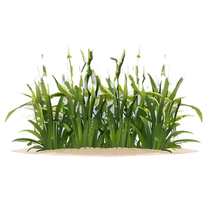 Seagrass Cartoon Png 49 PNG Image