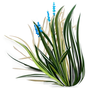 Seagrass Vector Png Ibl51 PNG Image