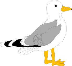 Seagull Illustration Graphic PNG Image