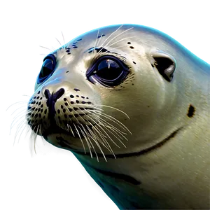Seal Animal Png 05242024 PNG Image
