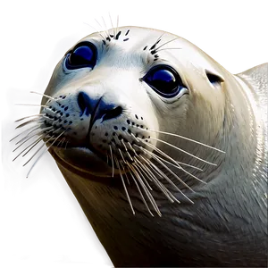 Seal Clipart PNG 74 PNG