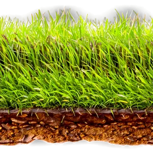 Seamless Grass Patch Png 06212024 PNG Image