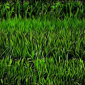 Seamless Green Grass Pattern Png 06262024 PNG Image