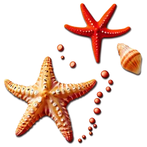 Seashell And Starfish Clipart Png Rld PNG Image