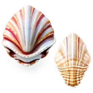 Seashell Clipart C PNG Image