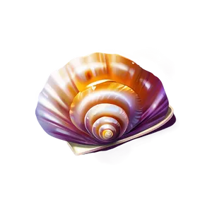 Seashell Clipart Png Nql89 PNG Image