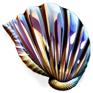 Seashell Icon Clipart Png Svm PNG Image