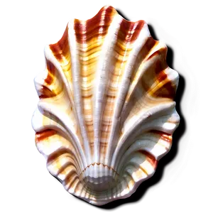 Seashell Patterns Png 45 PNG Image