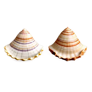 Seashell Set Clipart Png Nhn23 PNG Image