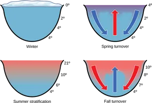 Seasonal Lake Temperature Stratificationand Turnover PNG Image