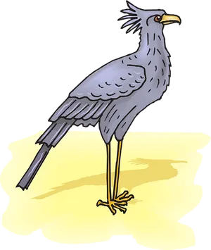 Secretary Bird Illustration PNG Image