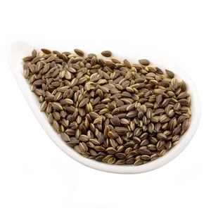 Seed A PNG Image