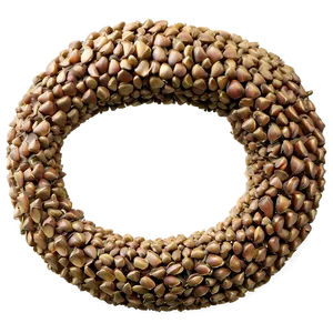 Seed D PNG Image