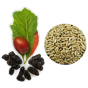 Seed Exchange Event Png Ema15 PNG Image