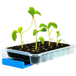 Seed Propagation Mat Png 06122024 PNG Image