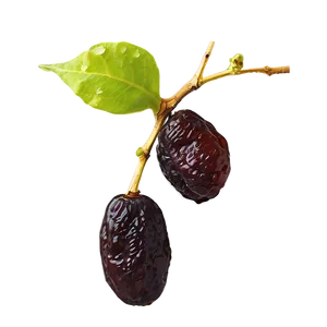 Seedless Raisins Graphic Png 17 PNG Image