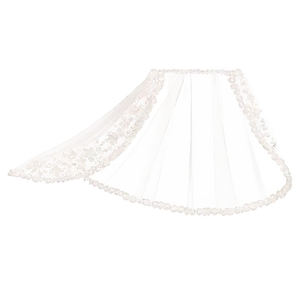 Sequin Wedding Veil Png Hfc18 PNG Image