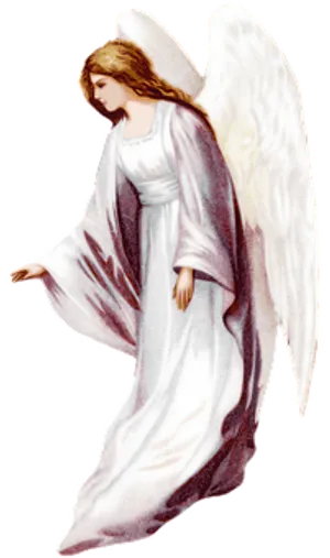 Serene Angel Illustration PNG Image