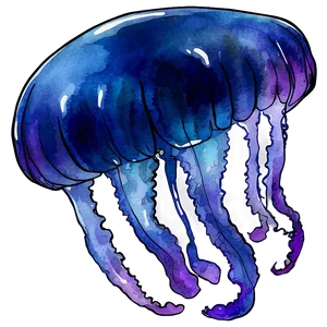 Serene Moon Jelly Watercolor Png Whh2 PNG Image