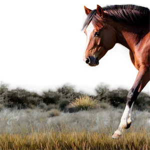 Serene Mustang Horse Meadow Png 73 PNG Image