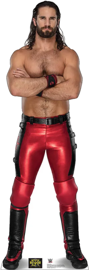 Seth_ Rollins_ Pro_ Wrestler_ Pose PNG Image