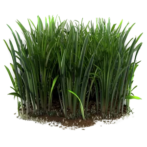 Shaded Grass Patch Png Iml6 PNG Image