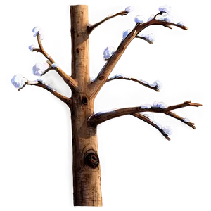 Shadowed Twig Png Veh PNG Image