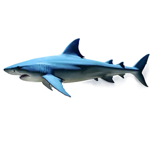 Shark Illustration Png Uux PNG Image