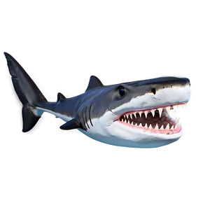 Shark Jaw In Detail Png Ftn PNG Image