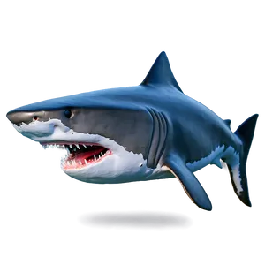 Shark Jaw Top View Png Ahr PNG Image