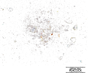 Shattered_ Glass_ Fragments_ Against_ Black_ Background.jpg PNG Image