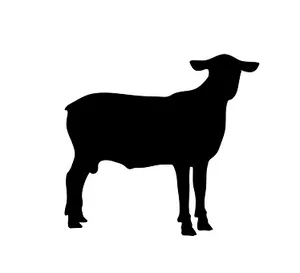 Sheep Silhouette Graphic PNG Image