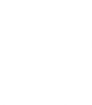 Shell Logo Blackand White PNG Image