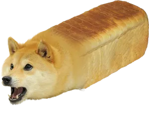 Shiba Inu Bread Loaf Hybrid PNG Image