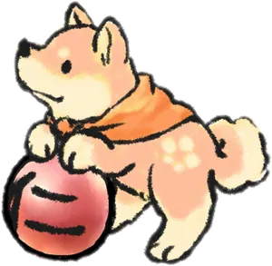 Shiba Inu Playing With Ball.png PNG Image