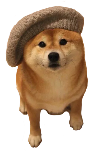 Shiba Inu Wearing Beret PNG Image