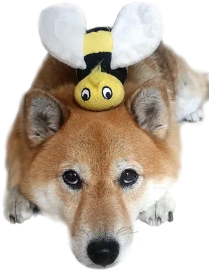 Shiba Inu With Bee Plush Hat PNG Image