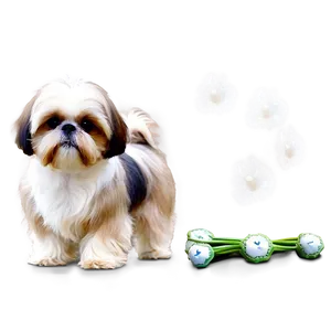 Shih Tzu In Park Png Lxu51 PNG Image