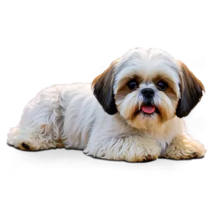 Shih Tzu With Bowtie Png 06242024 PNG Image