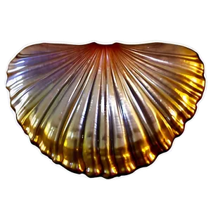 Shiny Clam Shell Png 06292024 PNG Image