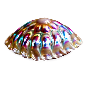 Shiny Pearlescent Shells Png 06212024 PNG Image