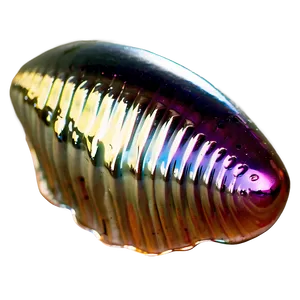 Shiny Pearlescent Shells Png 06212024 PNG Image