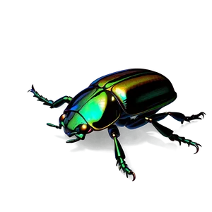 Shiny Scarab Beetle Png Jwk89 PNG Image